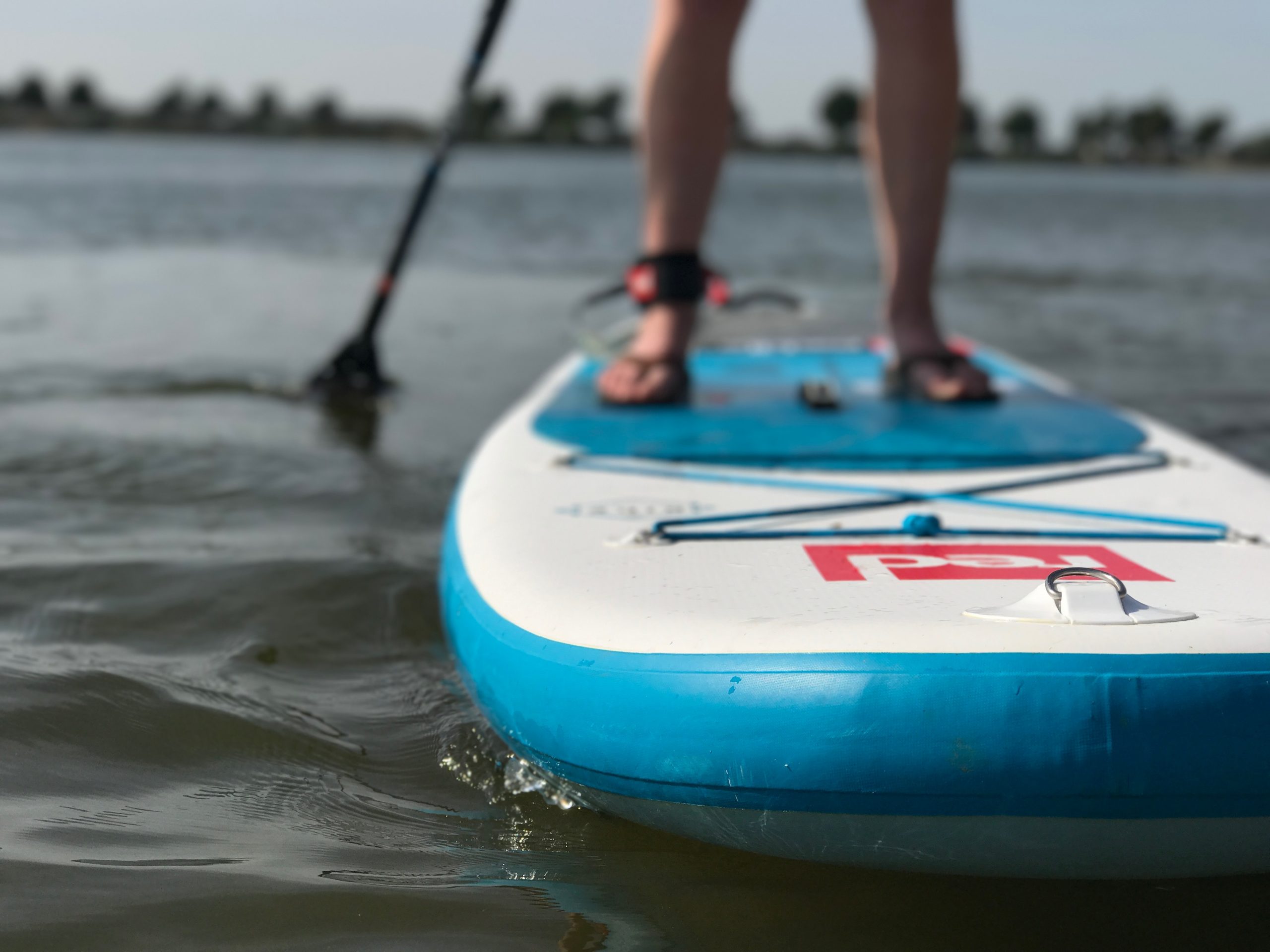 Stand Up Paddle Boarding (SUP)